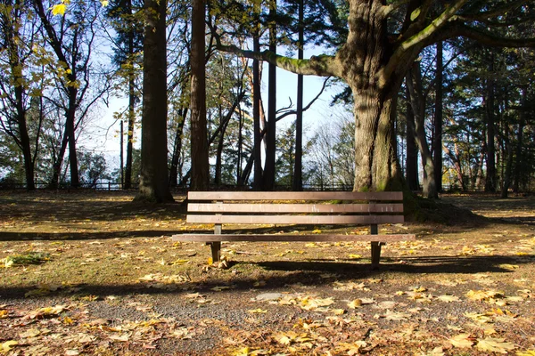 空公园的长凳上日落 — 图库照片
