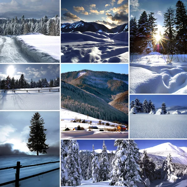 Winter collage Stockafbeelding