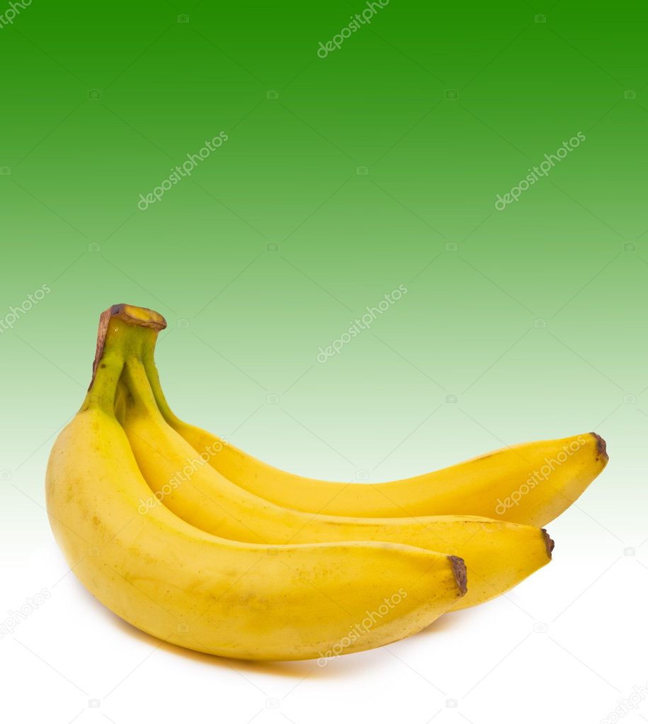 バナナの木写真素材 ロイヤリティフリーバナナの木画像 Depositphotos