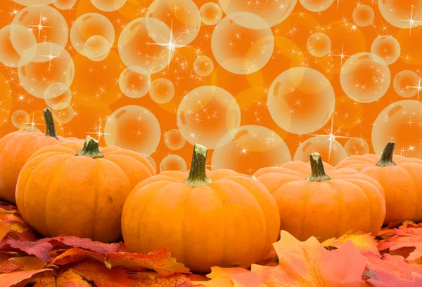 Abóboras com folhas de outono — Fotografia de Stock