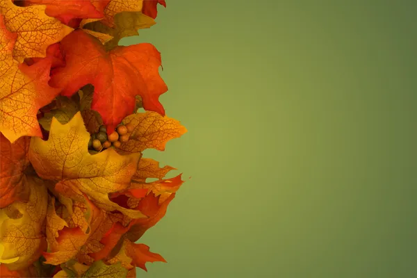 Frontera de otoño —  Fotos de Stock