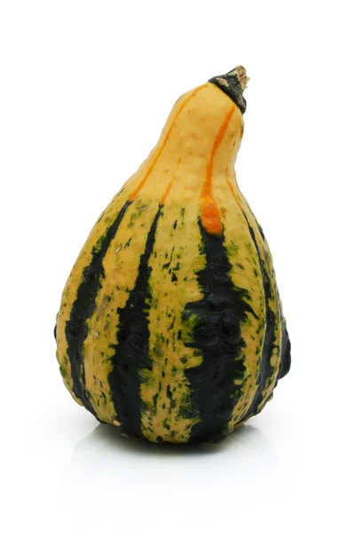Yellow and Green Gourd — Stock Photo, Image