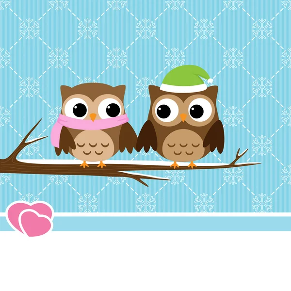 Winter owl couple — Stock Vector