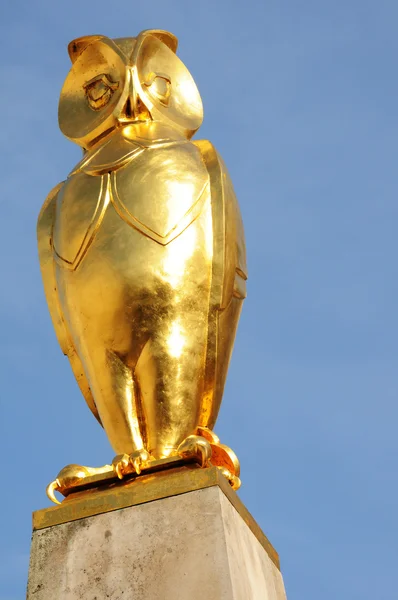 金色猫头鹰 (利兹) — 图库照片