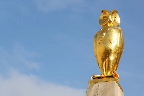 Zlatá sova (Leeds) — Stock fotografie