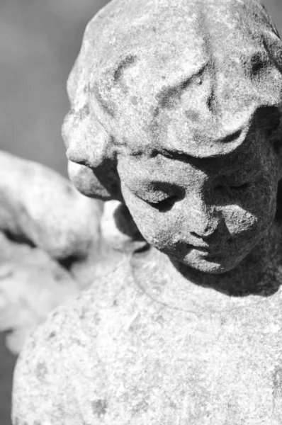 Каменный ангел — стоковое фото