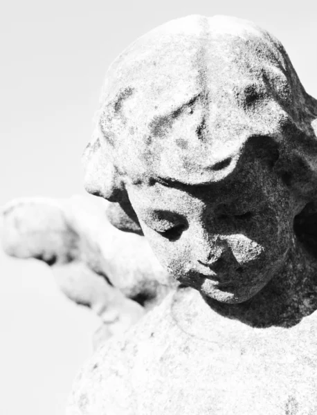 石造りの天使 — ストック写真