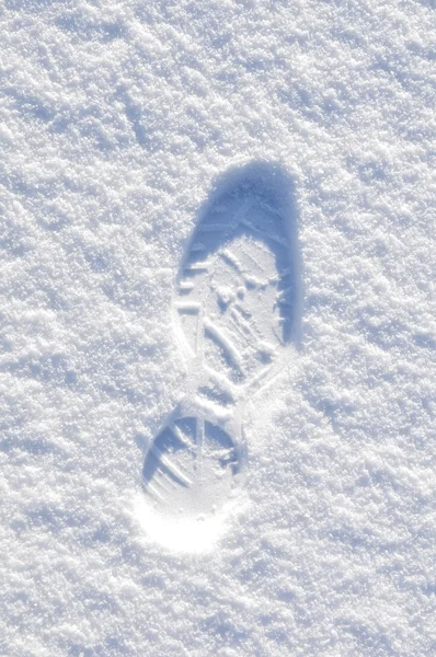 Karda ayak izi — Stok fotoğraf
