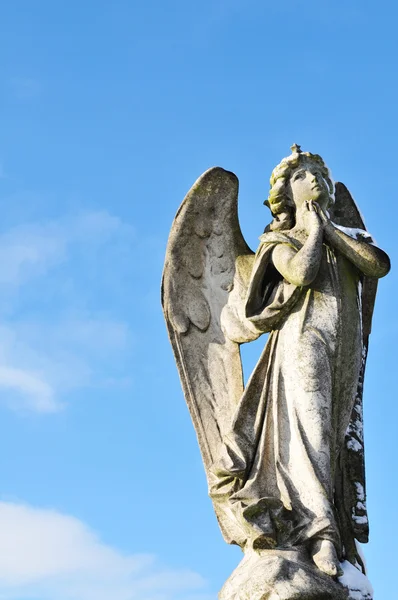 Angel se modlí — Stock fotografie