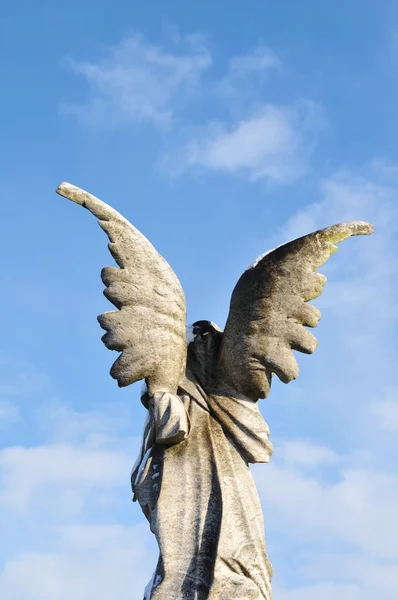 Anděl proti modré obloze — Stock fotografie