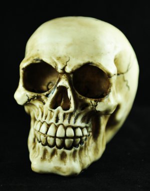 Skull isolated clipart
