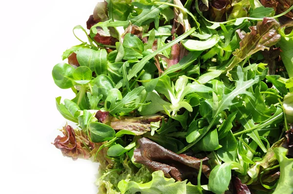 Salata karışımı — Stok fotoğraf
