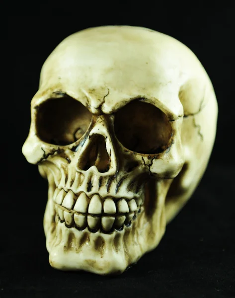 stock image Skull isolated
