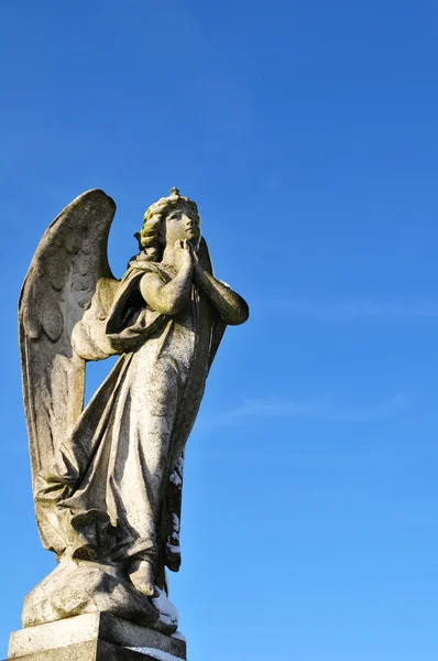 Anioł modli się — Zdjęcie stockowe