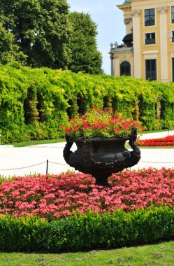 İmparatorluk bahçeleri, schonbrunn (Viyana, Avusturya)