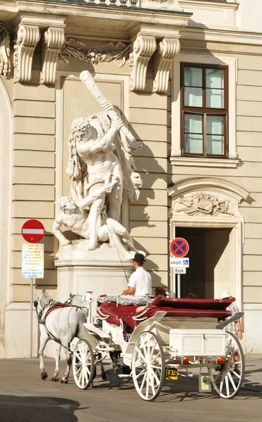 Vienna — Stock Photo, Image