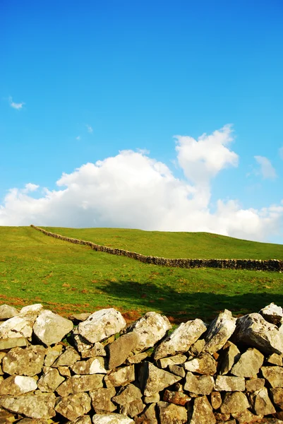 Krajobraz w Yorkshire Dales (Uk) — Zdjęcie stockowe
