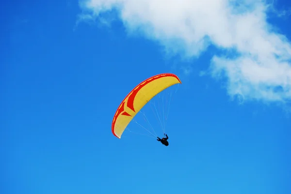 stock image Paraglide