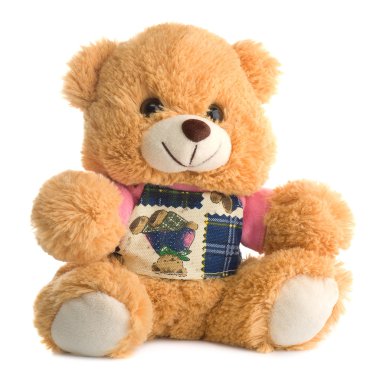 Cute teddy bear, isolated clipart