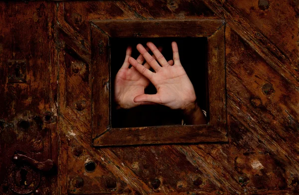 stock image Hands in a wooden frame