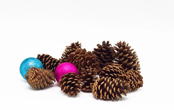 Group of pine cones — Stock Photo, Image