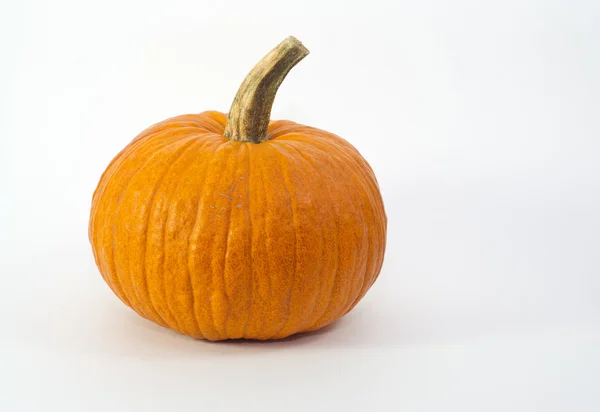 Pumpkin Isolated — Stock Photo, Image