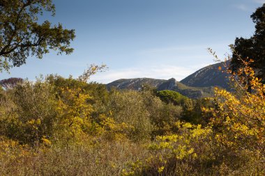 Natural Park of Arrabida. clipart