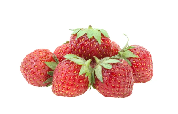 草莓. — 图库照片