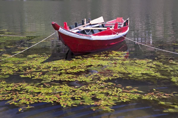 Douros River Boat — Stock Photo, Image