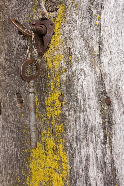 Ключи в старой двери — стоковое фото
