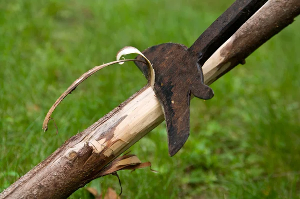 Antique tool to remove wane from trunks — Zdjęcie stockowe