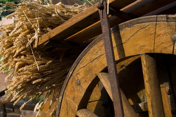 Пшеница на повозке — стоковое фото