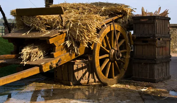 Drewniany wagon — Zdjęcie stockowe