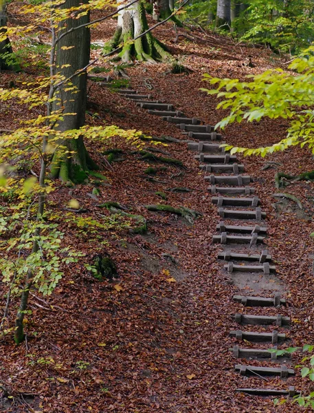 Lépcsők........ — 스톡 사진