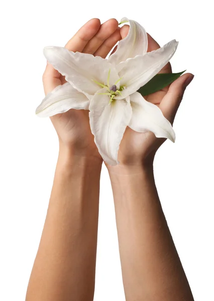 Lily on a hand — Stock Photo, Image