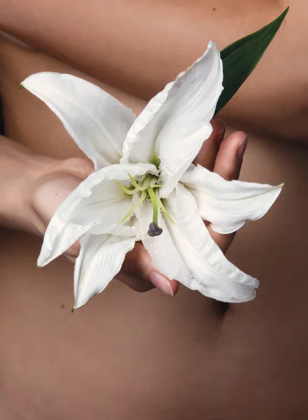 Lily in a hand at the girl — Stock Photo, Image