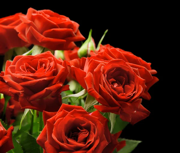 赤いバラの花束。 — ストック写真