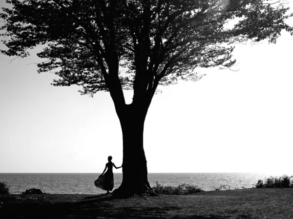 Giovane ragazza con un bellissimo albero — Foto Stock