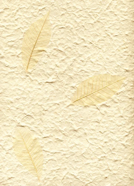 Arka plan ile dekoratif kumaş yaprak — Stok fotoğraf