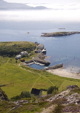 kuşlar göz göz olarak Norveç deniz manzarası