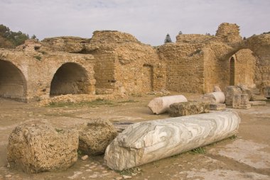 View with ruins of Carthage in Tunisia clipart