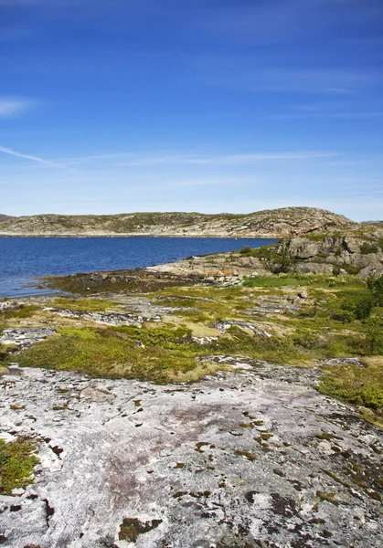 Fjordlandschaft in Norwegen — Stockfoto