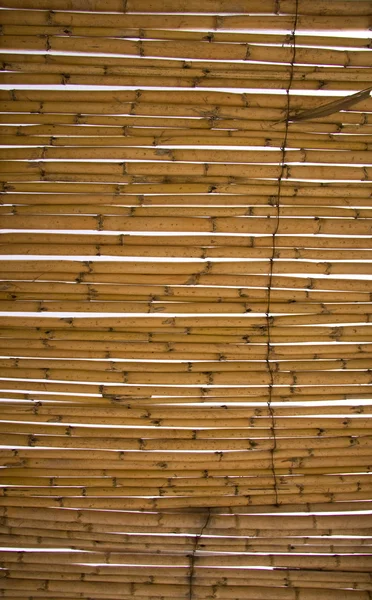 Bambusz háttér — Stock Fotó