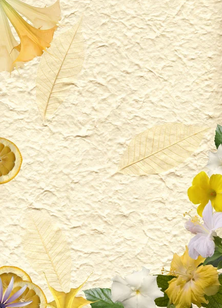 A HÉA-papír virág keret Stock Kép