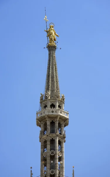 Golden Madonna at the top of Milan cathedral — Stock Photo, Image