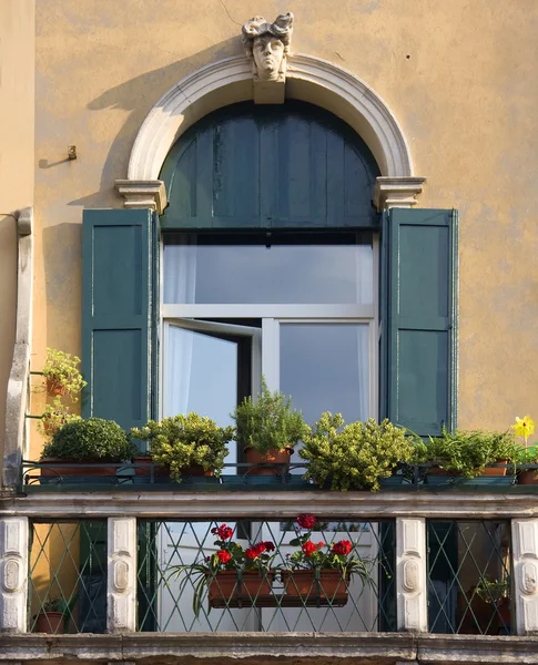 Window with stone decoration in Padua — Stock Photo, Image