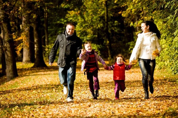 Família jovem no parque de outono — Fotografia de Stock