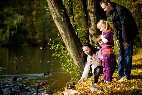 年轻的家庭，在秋天的公园 — 图库照片