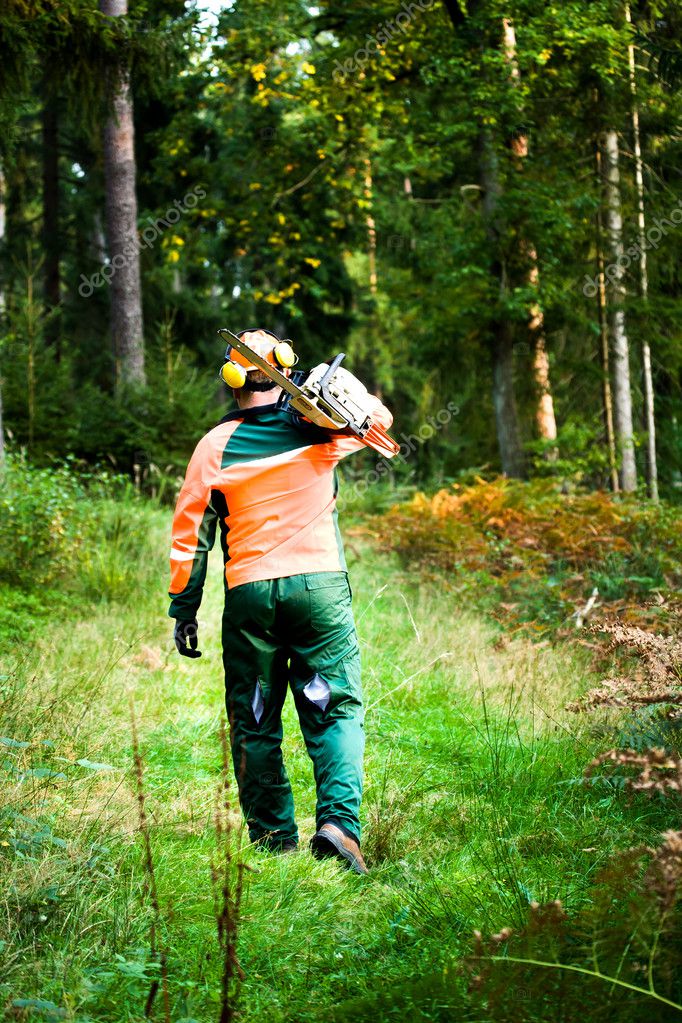 depositphotos_7087721-stock-photo-lumberjack.jpg