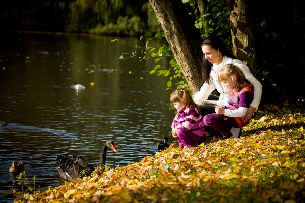 Молодая семья в осеннем парке — стоковое фото